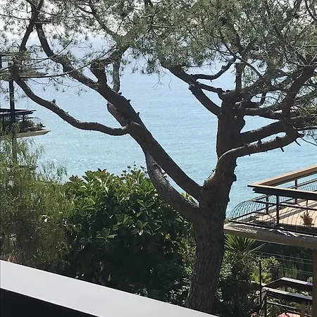 Apartman Brise